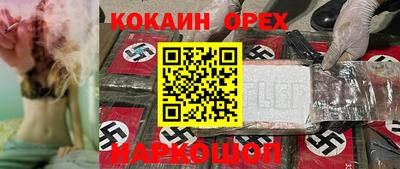 гидропоника Тара