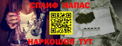 дживик Тверь