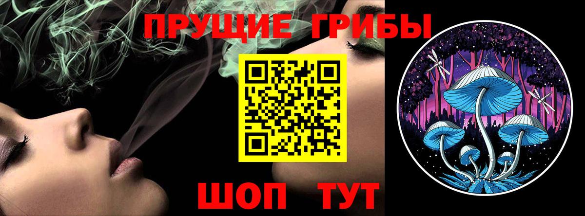 Псилоцибиновые грибы Cubensis Ногинск