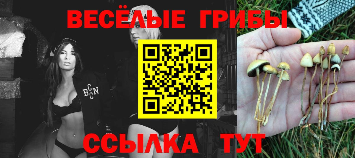 Галлюциногенные грибы мицелий  Вход с VPN  продажа наркотиков  Ногинск 