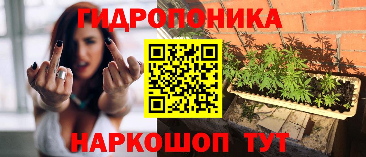 Ногинск  Конопля сатива  Вход с VPN  Шишки марихуана конопля  Бошки Шишки VHQ  Марихуана LSD WEED 